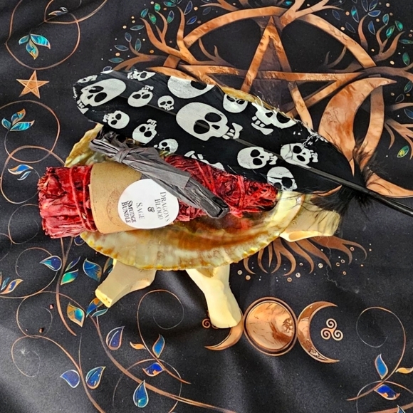 Dragon’s Blood Sage ✦ Tiger Shell ✦ Skull Feather ✦ Cleansing Smudge Set NWT - Picture 3 of 12